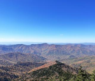Spruce-fir boreal forest in western North Carolina