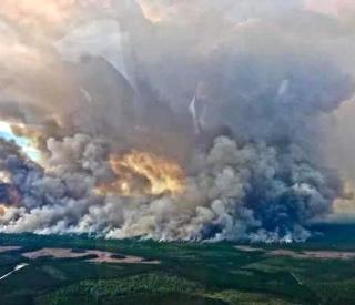 Okefenokee Swamp Wildfire