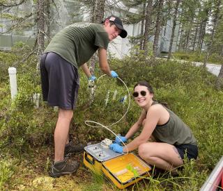 Ph.D. student Katherine Duchesneau sampling porewater inside an experimental SPRUCE chamber.