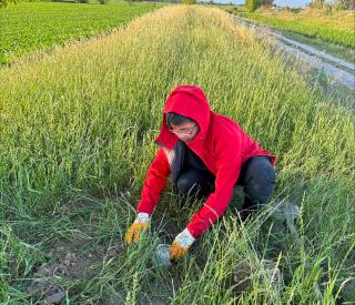 Grad student Phuc Mach places a node