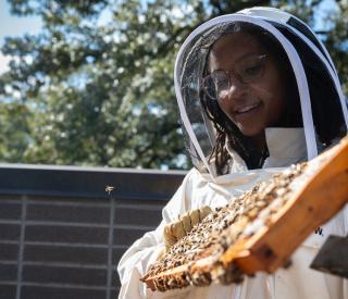 Georgia Tech's Janelle Dunlap conducts a hive inspection at the The Kendeda Building for Innovative Sustainable Design. 