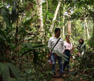 Hiking into the rain forest