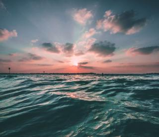 Image: Joseph Barrientos 