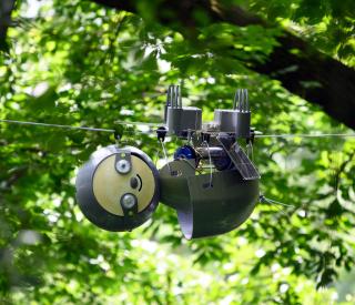 SlothBot operating in Atlanta Botanical Garden - 2