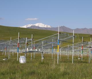 Test plots to study climate change effects on the Tibetan Plateau