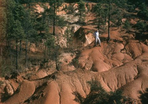 Calhoun Critical Zone Observatory