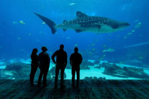 Georgia Tech Leading in the Quest for Ocean Solutions