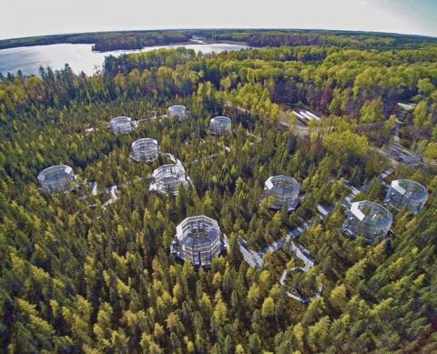 An aerial photo of the SPRUCE experiment.