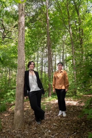 Researchers studying data from fossil pollen - 2