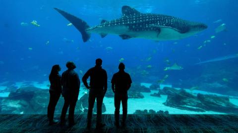 Georgia Tech Leading in the Quest for Ocean Solutions