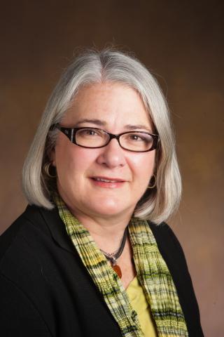 Prof. Lizanne DeStefano